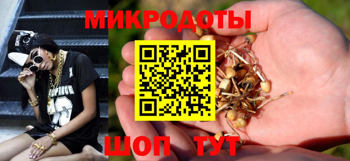 Псилоцибиновые грибы мухоморы Горячий Ключ