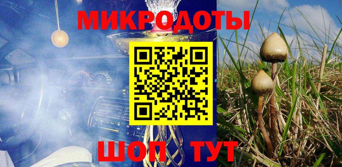 Псилоцибиновые грибы Psilocybe  Вход с VPN  где купить наркотик  Галлюциногенные грибы Psilocybe  Горячий Ключ 